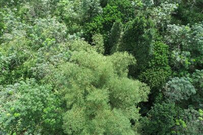 DJI_0118.JPG