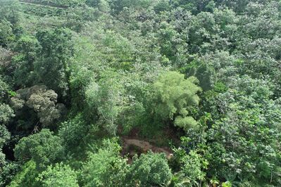 DJI_0120.JPG