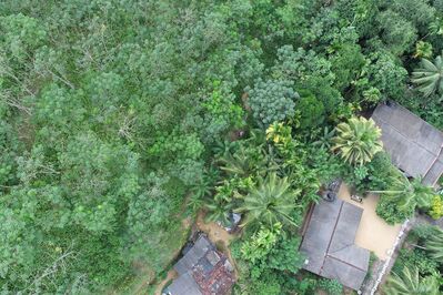 DJI_0124.JPG