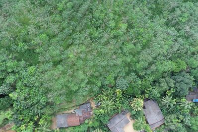 DJI_0126.JPG