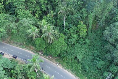 DJI_0157.JPG