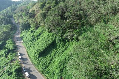 DJI_0169.JPG