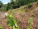 20201130_100207.jpg