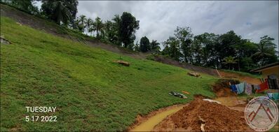 Picture1.jpg