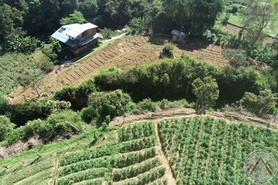 DJI_0215.JPG