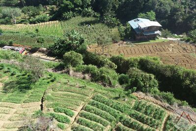 DJI_0216.JPG