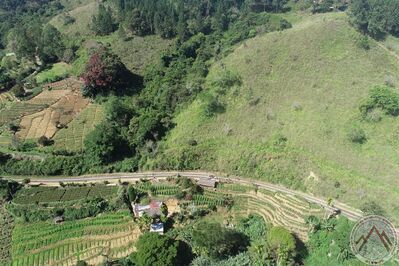 DJI_0227.JPG