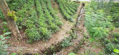 20230507_104750.jpg