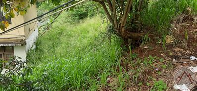 Site No: 034 St. Bernadette School
Site No: 034 St. Bernadette School
